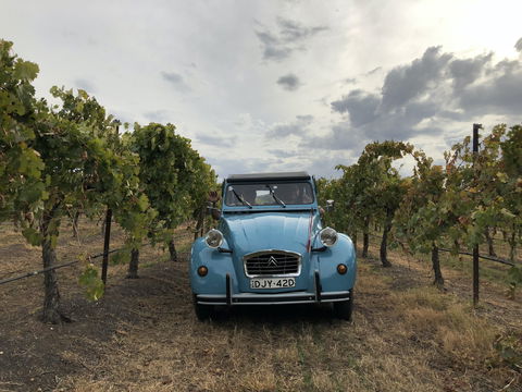 Birches Bed And Breakfast Mudgee - Lightning Ridge Tourism 2