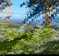 Escarpment - Lightning Ridge Tourism