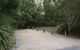 Springbrook National Park Camping - thumb 0