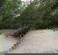 Springbrook National Park camping - Lightning Ridge Tourism