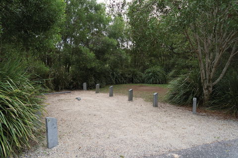 Springbrook National Park Camping - Lightning Ridge Tourism 0