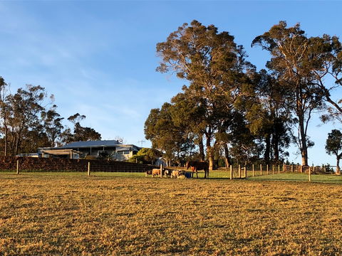 Great Southern Outback Tours & Accommodation - Lightning Ridge Tourism 2