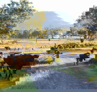 Tommerups Dairy Farmstay - Lightning Ridge Tourism