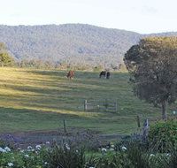 Wallaby Cottage - Lightning Ridge Tourism