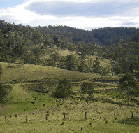 Yasuragi Cabins - Lightning Ridge Tourism