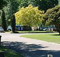 Mitchell Gardens Holiday Park - Lightning Ridge Tourism