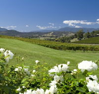 Balgownie Estate Vineyard Resort and Spa - Lightning Ridge Tourism