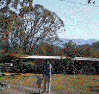 Bumblebrook Farm Motel - Lightning Ridge Tourism