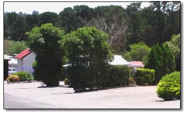 Wantirna Park - Lightning Ridge Tourism 5