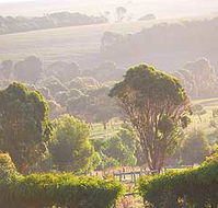 Mackas Farm - Lightning Ridge Tourism