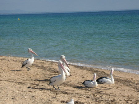 Arlingtons - Lightning Ridge Tourism 2