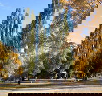 Omeo Caravan Park - Lightning Ridge Tourism