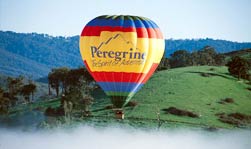 Yarra Valley Motel - Lightning Ridge Tourism 5