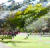 Otways Tourist Park - Lightning Ridge Tourism