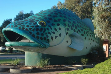 Swan Hill Holiday Park - Lightning Ridge Tourism 4
