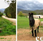 Emerald Park Holiday Farm - Lightning Ridge Tourism