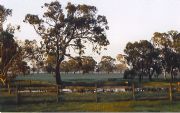 Ardwick Homestead - Lightning Ridge Tourism 1