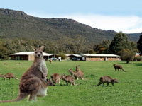 Halls Gap Log Cabins - Lightning Ridge Tourism 2