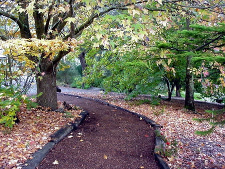 Brigadoon Cottages - Lightning Ridge Tourism 3