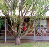BIG4 Ballarat Windmill Holiday Park - Lightning Ridge Tourism