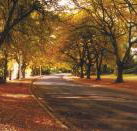 La Trobe at Beechworth - Lightning Ridge Tourism
