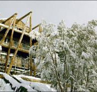 Silverski - Lightning Ridge Tourism