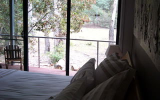 Glengarriff Town Houses - Lightning Ridge Tourism 0