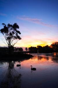 WorldMark Resort Ballarat - Lightning Ridge Tourism 5