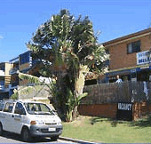 Melaluka And Costa Bella Luxury Apartments - Lightning Ridge Tourism