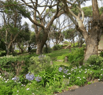 Anchlia Waterfront Cottage - Lightning Ridge Tourism 2