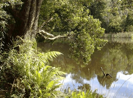  Lightning Ridge Tourism