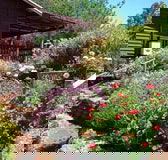 Chestnut Brook Cottage - Lightning Ridge Tourism