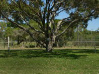 Hawks Nest Holiday Park - Lightning Ridge Tourism 3