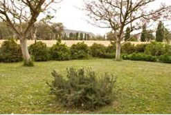 Claremont Cottage - Lightning Ridge Tourism 2