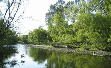 Ribbonwood Cottages - Lightning Ridge Tourism