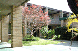 Amg Ryde Sydney - Lightning Ridge Tourism