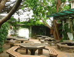 Monarch Motel Hotel - Lightning Ridge Tourism 1