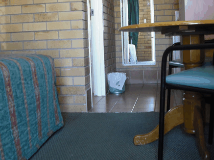 Dragon  Phoenix Motel - Lightning Ridge Tourism
