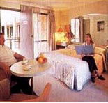 Sydney Palm Court Motor Inn - Lightning Ridge Tourism