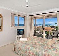 Allez Pacific Rose - Lightning Ridge Tourism