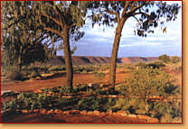 Kings Creek Station - Lightning Ridge Tourism 1