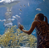 The Aquarium of Western Australia - Lightning Ridge Tourism
