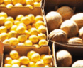 Brisbane Markets - Lightning Ridge Tourism