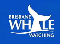 Brisbane Whale Watching - Lightning Ridge Tourism 3