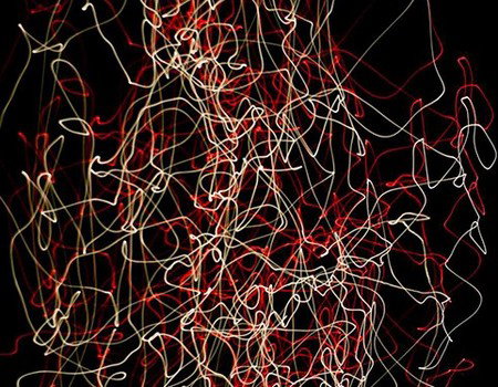 Eleven40 Gallery - Lightning Ridge Tourism 1