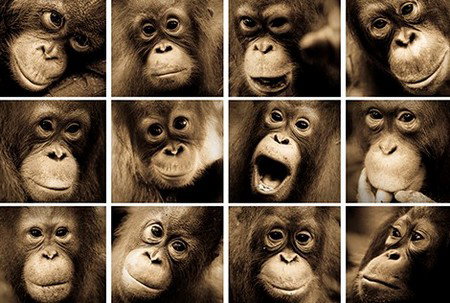 Eleven40 Gallery - Lightning Ridge Tourism 3