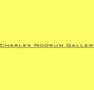 Charles Nodrum Gallery - Lightning Ridge Tourism