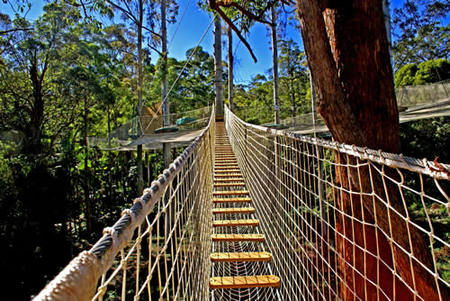  Lightning Ridge Tourism