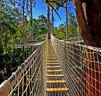 Thunderbird Park - Lightning Ridge Tourism