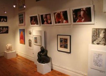 Bird's Gallery - Lightning Ridge Tourism 2